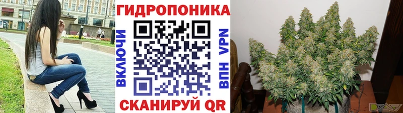 МАРИХУАНА план Армянск